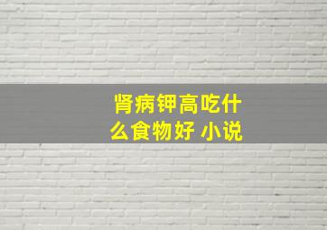 肾病钾高吃什么食物好 小说